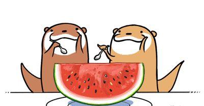 娱乐吃瓜号会不会侵权